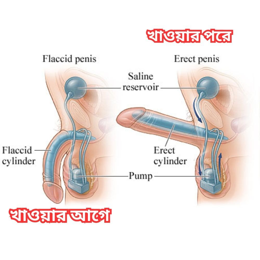 WhatsApp Image 2025-10-25 at 8.33.03 PM